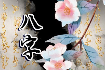 软件排盘也会错吗？
