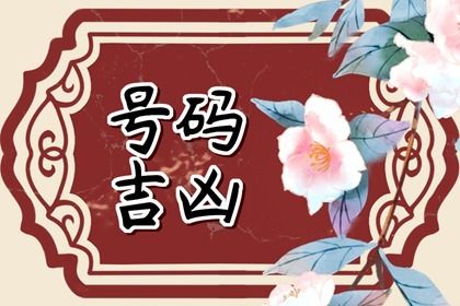 网上评论可信吗