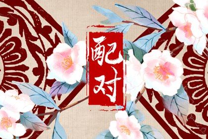 紫薇免费排盘解析 先天命盘查询 询命盘 男女命盘 算命紫微排盘