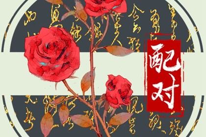 阴干日主的冲突模式