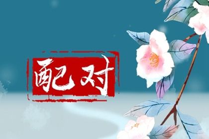 低分夫妻的财务安排