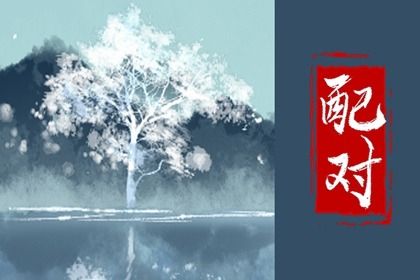 活页紫微排盘,紫微双人免费合盘,紫微看姻缘