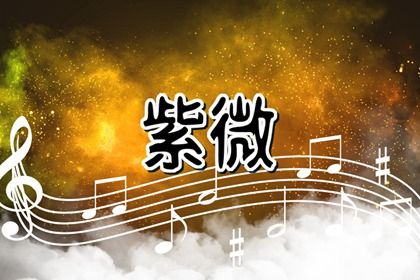 干支强弱怎么判