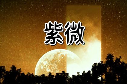 四化是什么意思